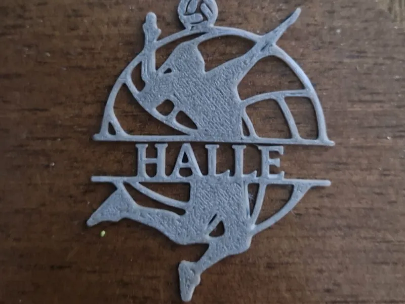 PALLAVOLO HALLE