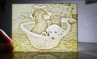 Lithophanie chiots dans un panier — photo 2