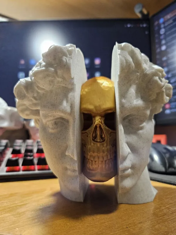 https://makerworld.bblmw.com/makerworld/model/USaac79675953ba8/design/2024-11-10_c11da6f0fa358.jpg