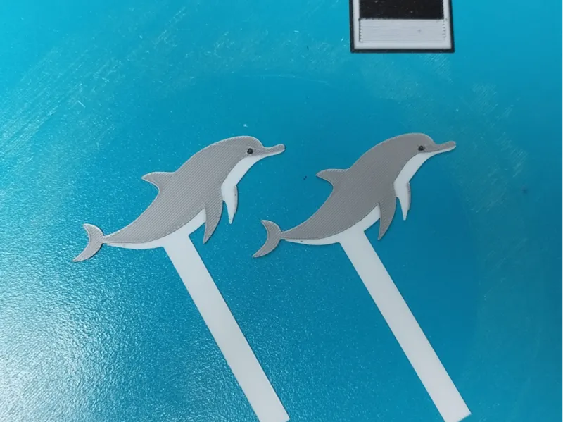 dolphin