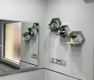 Modular Hexagonal Shelf