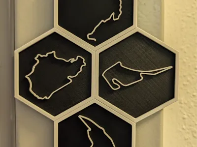 Race Circuit Hex Magnets