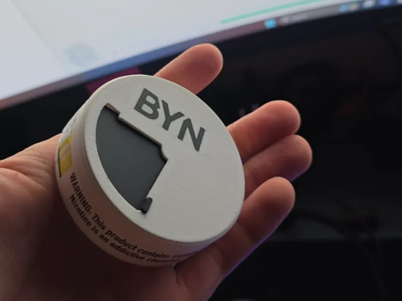 The ZYN BYN