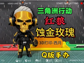 三角洲行动红狼蚀金玫瑰（无需AMS）