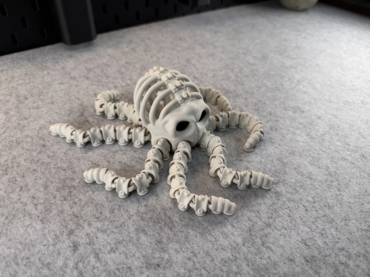 Articulated Skeleton Octopus view 3