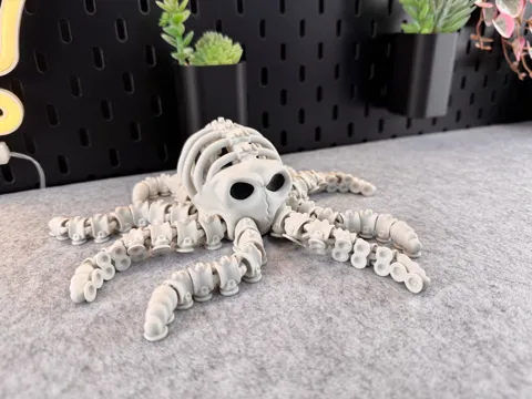 Articulated Skeleton Octopus view 2