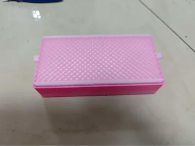 Cat Grass Box