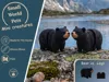 Black Bear Mini Flexi