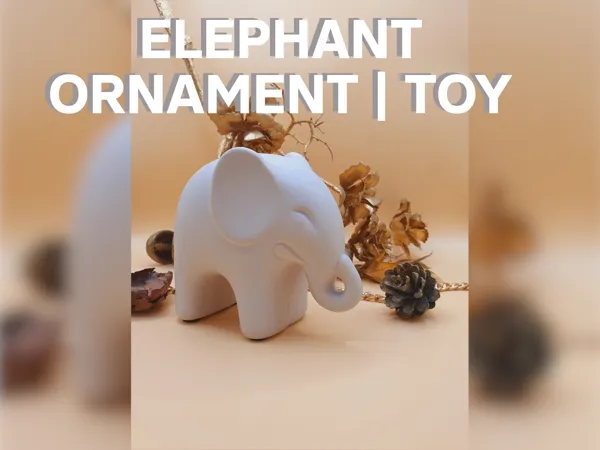 https://makerworld.bblmw.com/makerworld/model/USaadf2394c9d719/design/2024-04-30_9f5dccf10a354.png