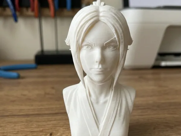 https://makerworld.bblmw.com/makerworld/model/USaae7c861338492/design/3168038161a07820.png
