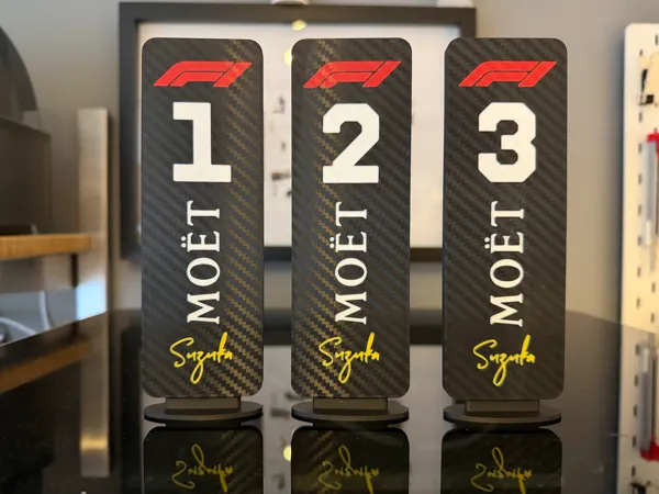 https://makerworld.bblmw.com/makerworld/model/USaae7e30aa9079/design/2025-12-09_8c7ba467abd4a.jpeg