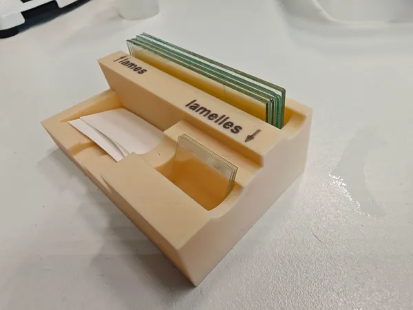 https://makerworld.bblmw.com/makerworld/model/USaae8aaa2cecadc/design/2025-05-25_394c0468bc46.jpg