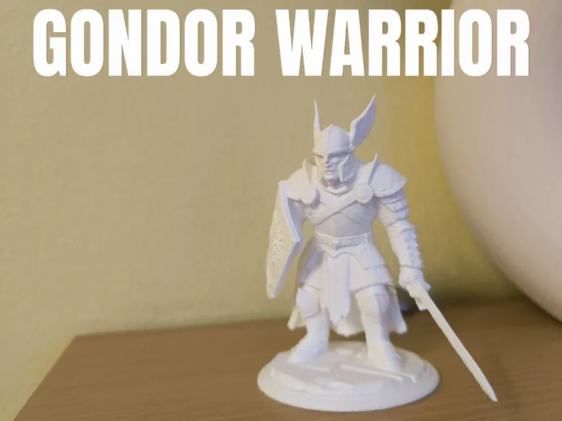 Gondor warrior 