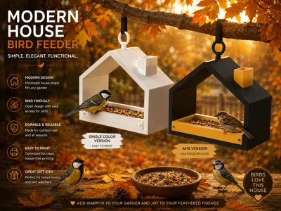 Modern House Bird Feeder