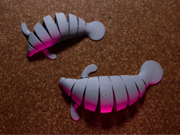 https://makerworld.bblmw.com/makerworld/model/USaaefa903f97834/design/2025-11-18_951d3d895a619.jpg