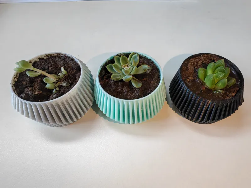 Succulent Vase