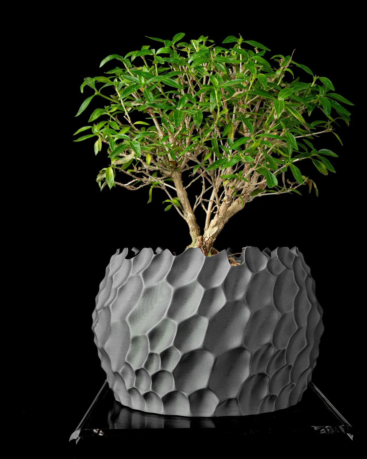 Dune Planter Pot by MODERN MACHINE view 2