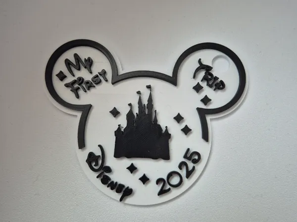 https://makerworld.bblmw.com/makerworld/model/USaaf8abb487a0c9/design/2024-11-19_a88b5a5c0f55.jpg