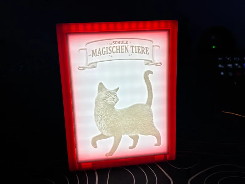 Schule der Magischen Tiere Katze