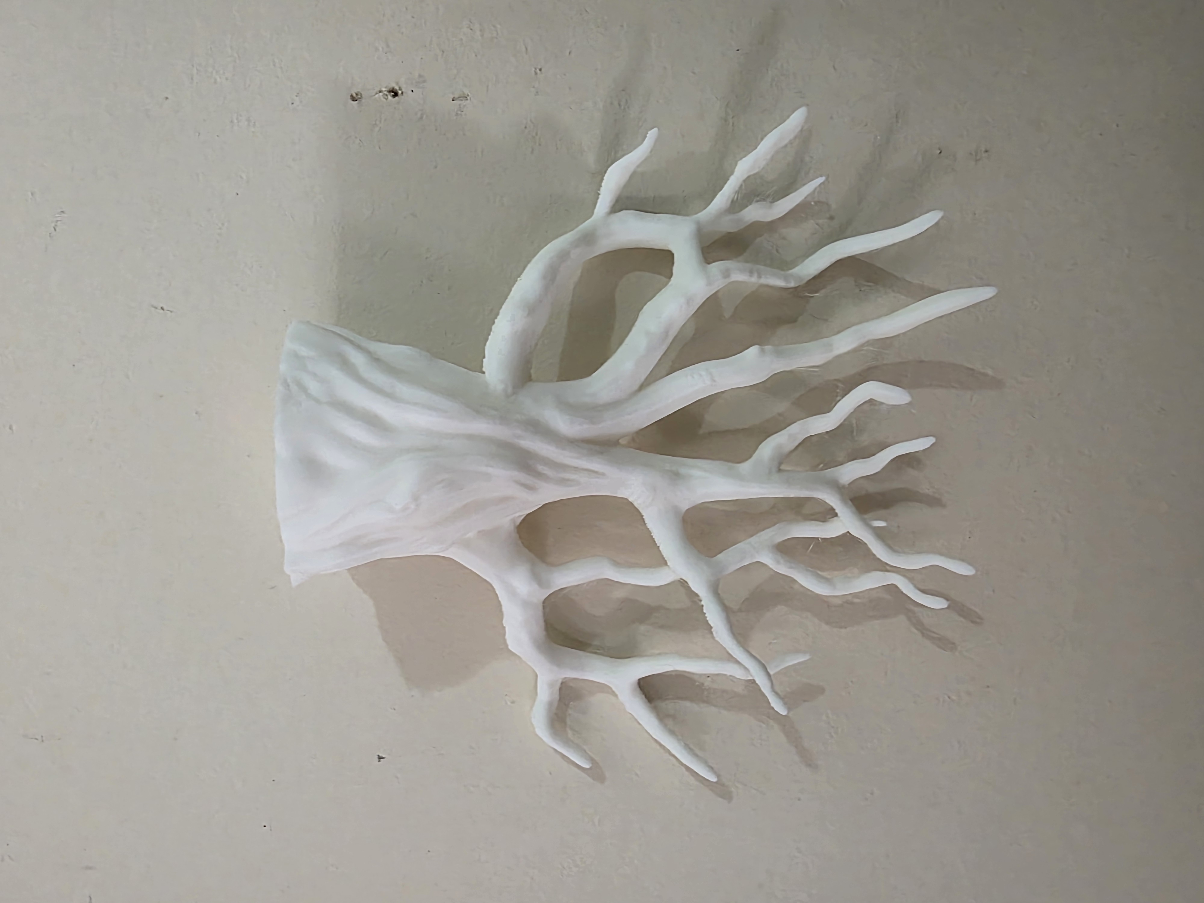 Miniatura 2 do modelo 3D Tree Root Planter Wall Hang