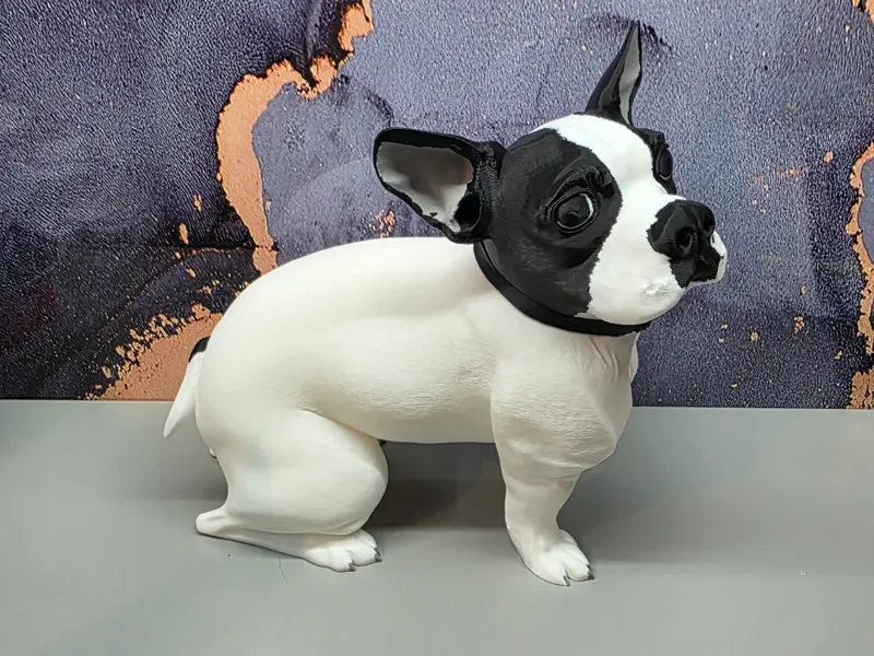 boston Terrier 3D realiste (315%) et version 200%