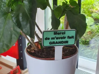 Plant sign label