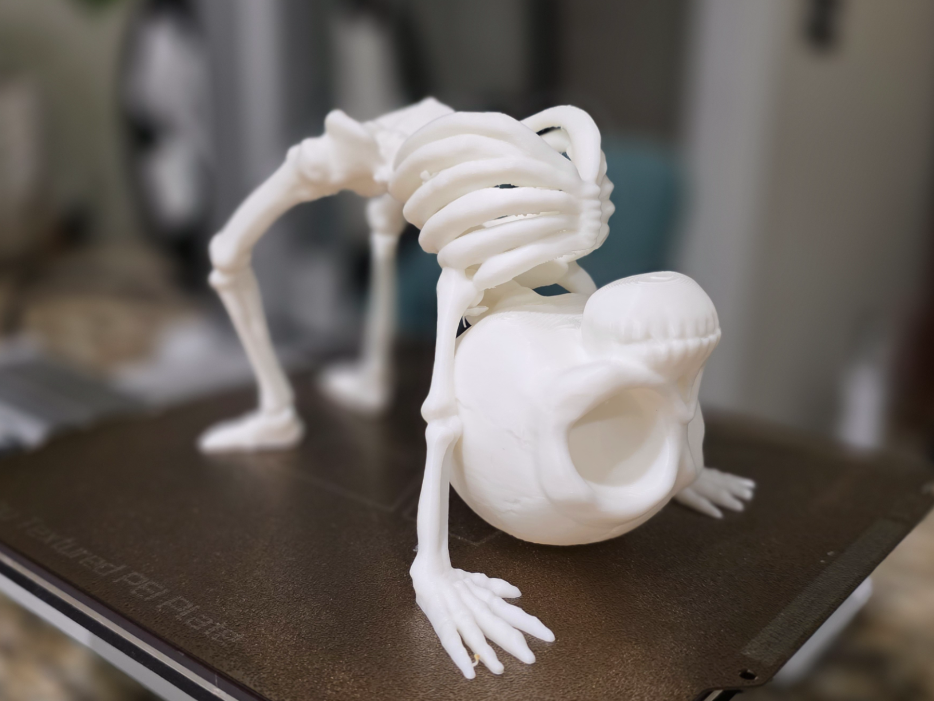 "Chill" Skeleton - Back Bend