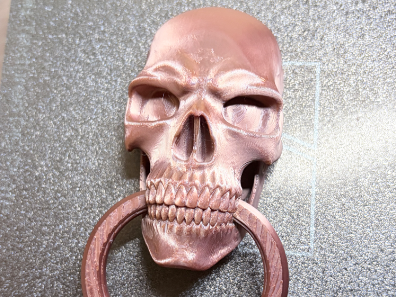 Throne of Glass Mort Skull Door Knocker