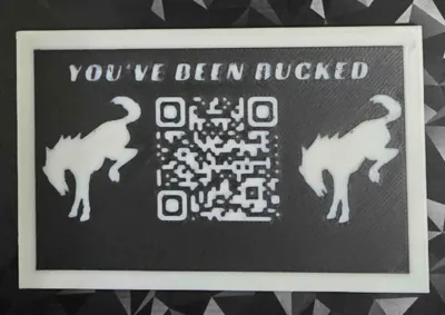 You've Been Bucked Card