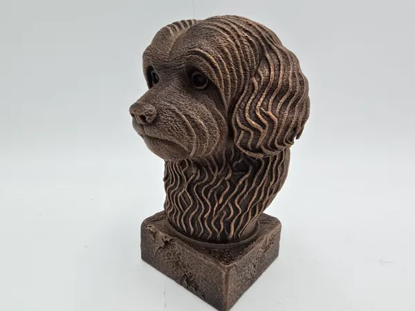 https://makerworld.bblmw.com/makerworld/model/USab0d7f8662dd5b/design/2025-05-24_ddc3e5bfad7a3.jpg
