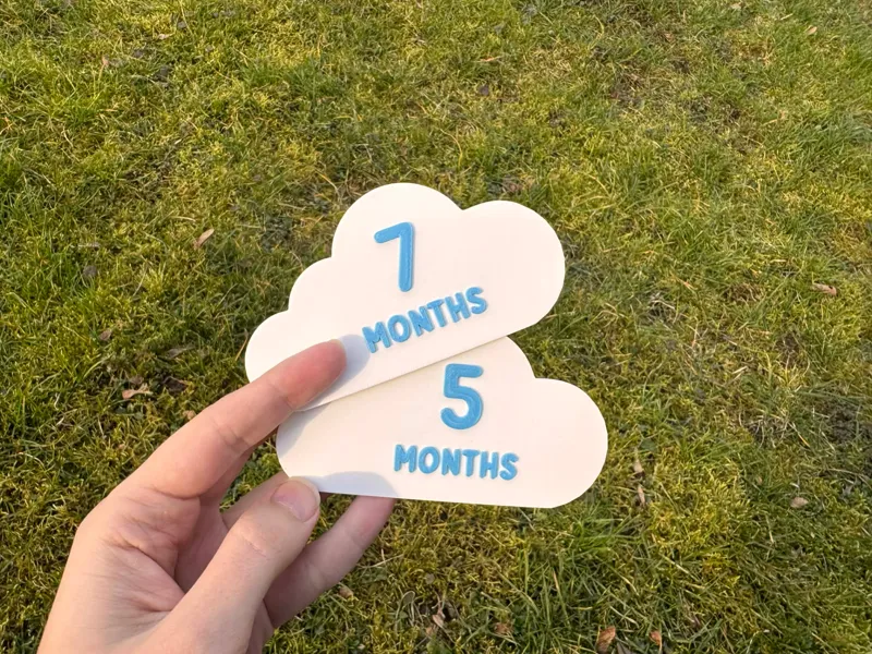 Baby Milestones - Cloud (HELLO -> 12 MONTHS)