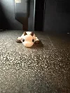 0.2mm layer, 2 walls, 5% infill