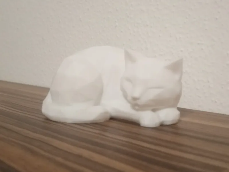 Sleeping Cat