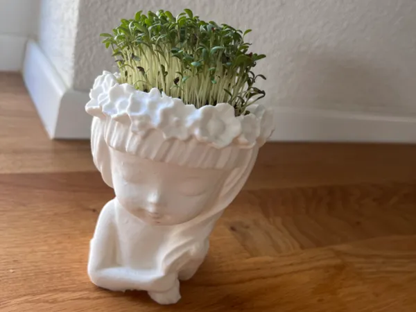 https://makerworld.bblmw.com/makerworld/model/USab12fef8887628/design/2024-08-12_b69ad02b38493.jpg