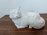 Fox Bowl 180mm