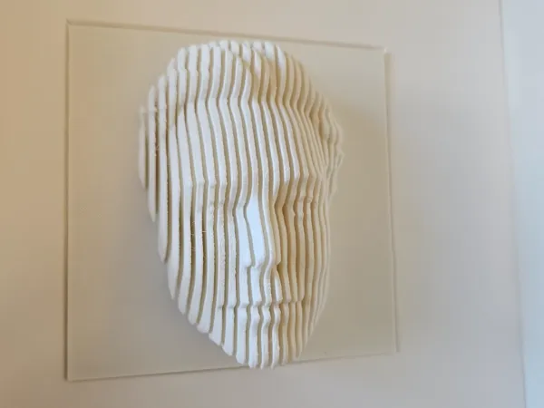 https://makerworld.bblmw.com/makerworld/model/USab14ab16d5ce4a/design/2025-02-16_b7eda35a59e96.jpg