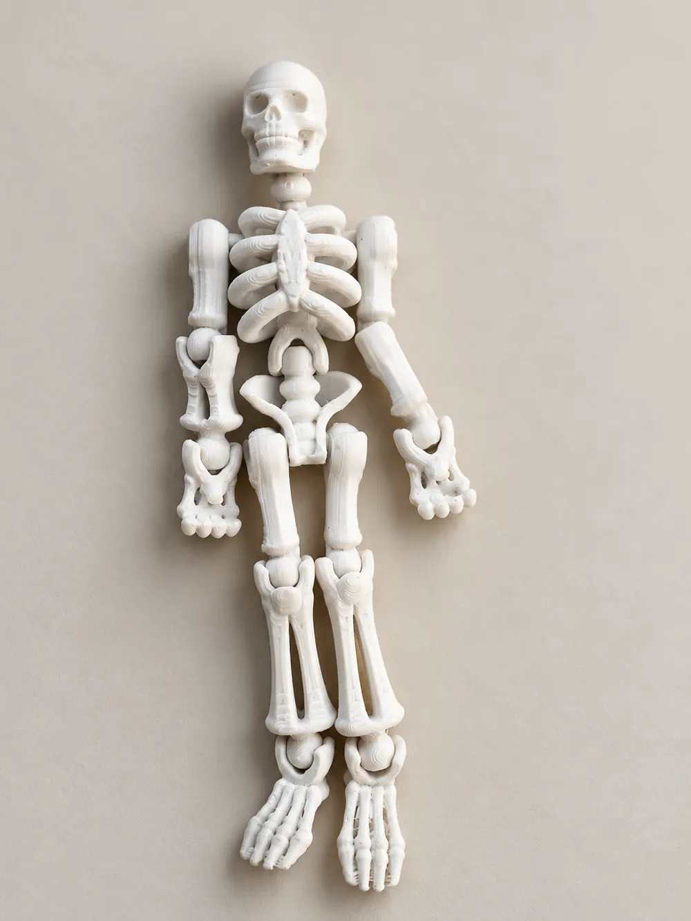 Little Skeleton Models FlexiBones! — The Posable Skeleton Fidget - Free 3D Print Model ...