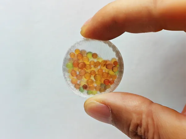 https://makerworld.bblmw.com/makerworld/model/USab174a55586e23/design/2025-05-01_fd68db6aac445.jpg