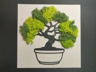 Moss Picture Tree Bonsai