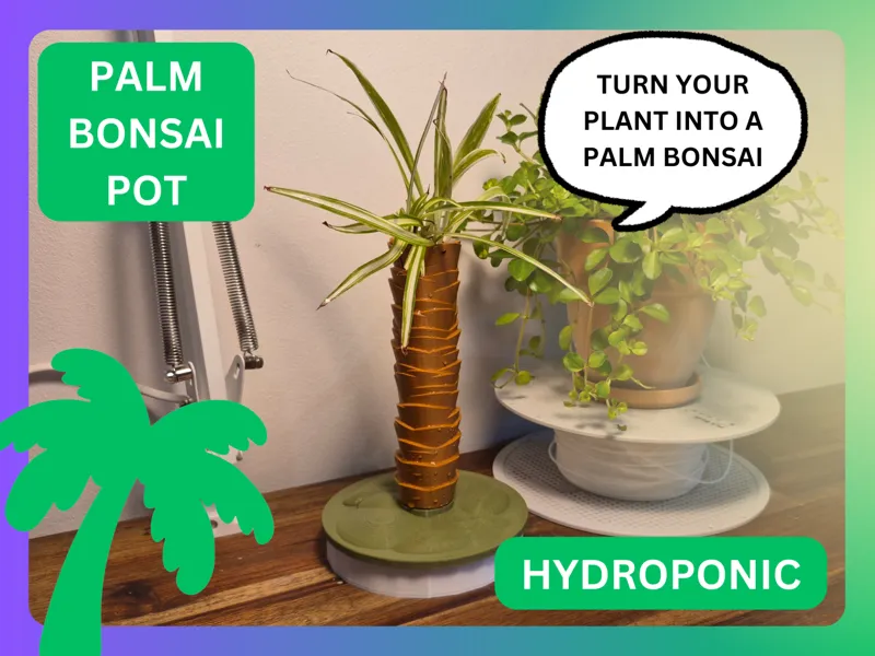 Palm Bonsai Pot (Hydroponic)