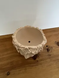 Vase with drainage hole - 0.2mm layer, 2 walls, 5% infill