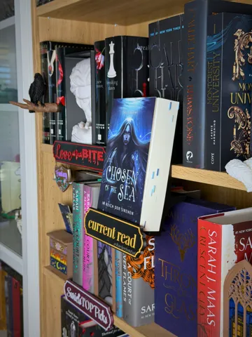Estante o repisa: Adjustable Book Display + customizable title — vista de referencia 4