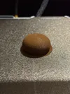 Adhesion Fix 