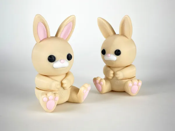 https://makerworld.bblmw.com/makerworld/model/USab296510f9441/design/2025-05-20_4e9988bc69d25.jpg
