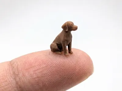 The smallest dog in the world (Nozzle 0.4)