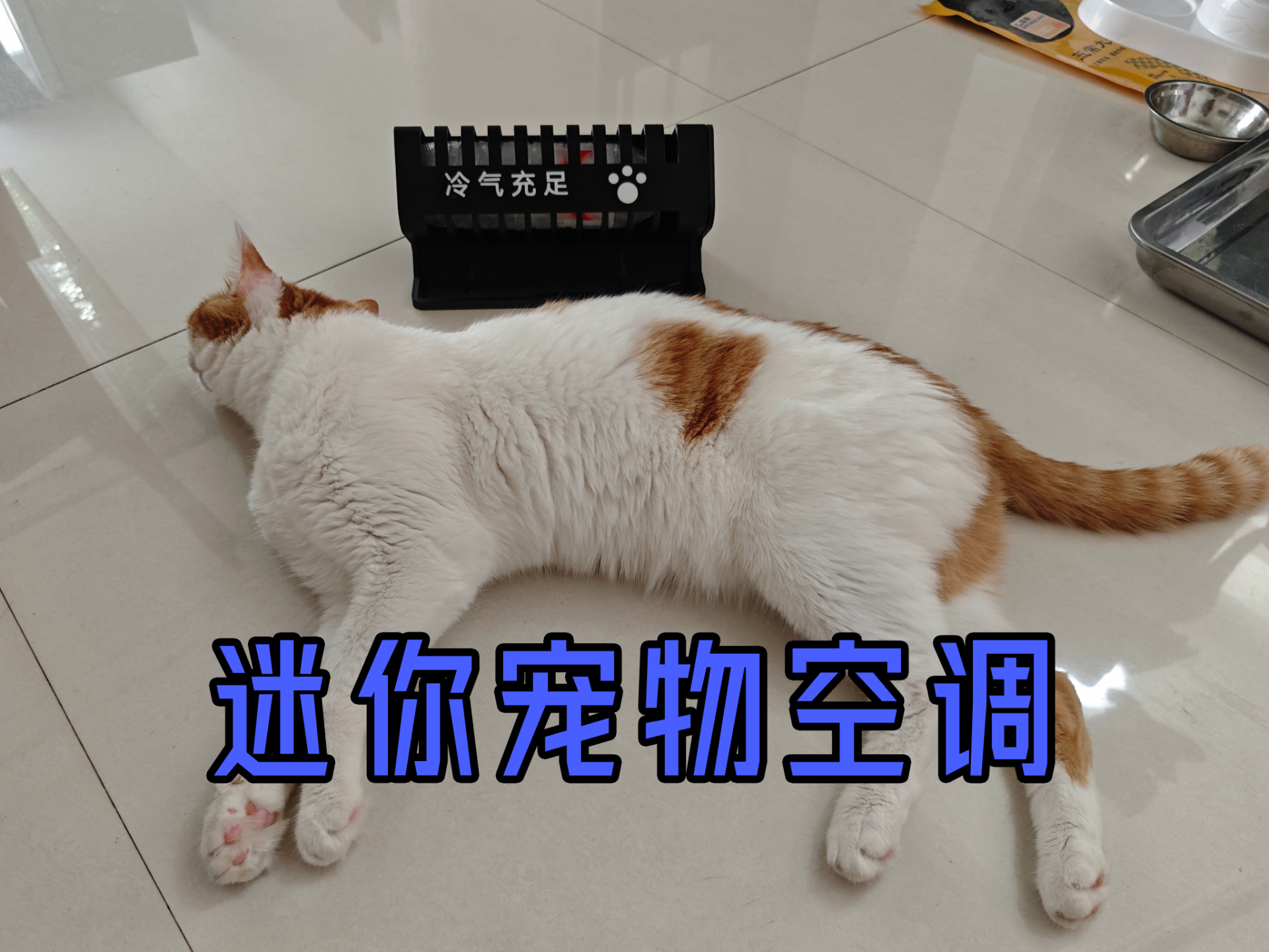 迷你宠物用空调
