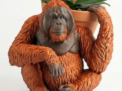 Orangutan Pot