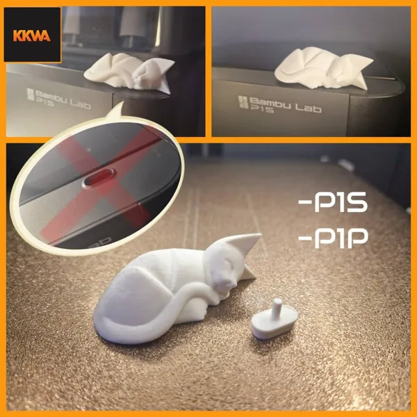 https://makerworld.bblmw.com/makerworld/model/USab3ea6c546c187/design/2025-01-14_073d08ec3a629.jpg