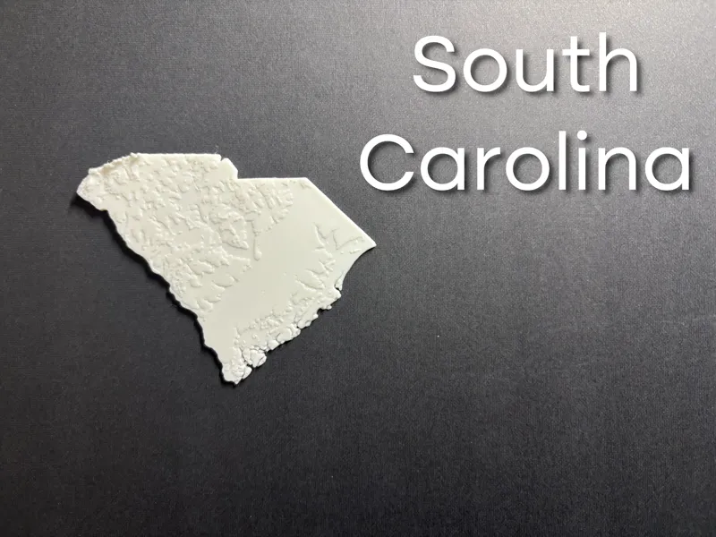 State of South Carolina