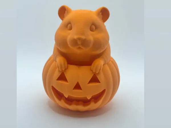 https://makerworld.bblmw.com/makerworld/model/USab409fdce41015/design/2025-06-25_f50bd5e5f61a5.jpg
